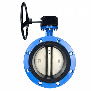 法蘭式蝸輪蝸桿蝶閥DN40，1.6Mpa（橡膠密封